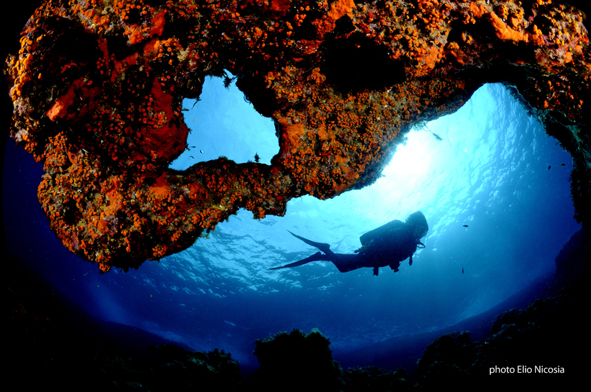 Marina Diving Center Lampedusa