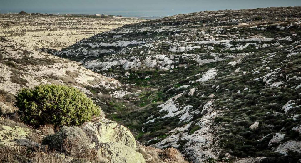 Riserva Naturale Orientata Isola di Lampedusa