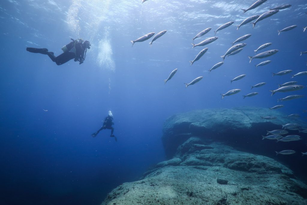 Immersioni subacquee a Lampedusa, Linosa e Lampione