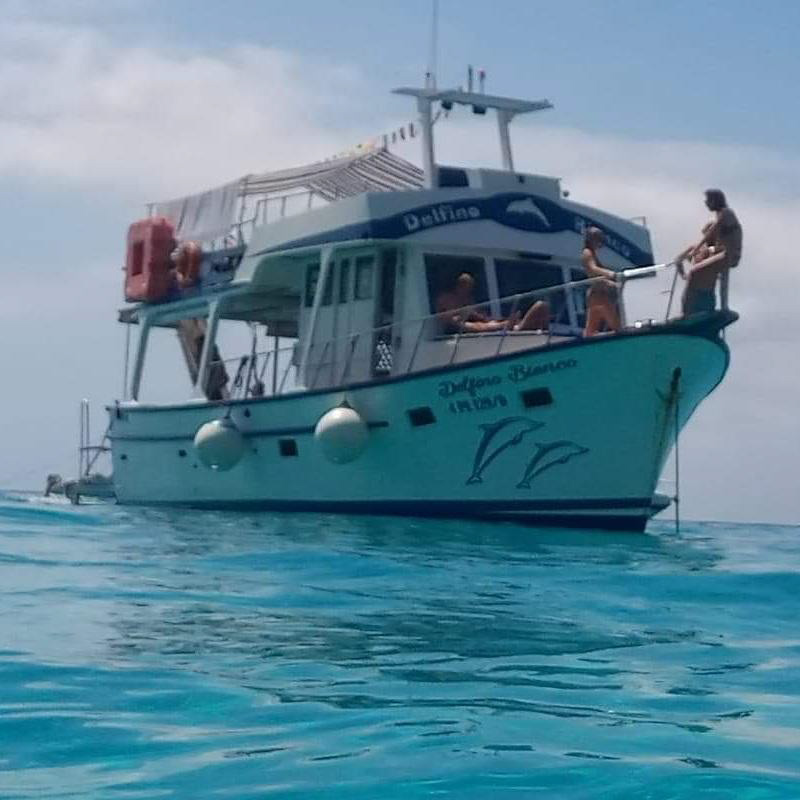Barca Delfino Bianco a Lampedusa
